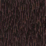 LoopBark-Brown1